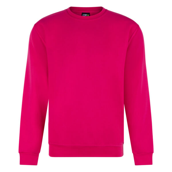 RX301 Pro sweatshirt